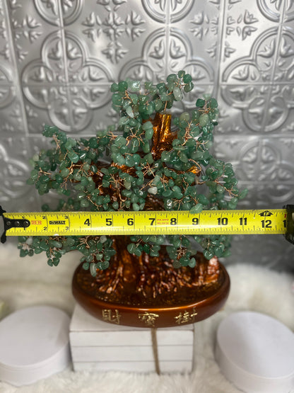 Green Adventuring Bonsai Money Tree Large