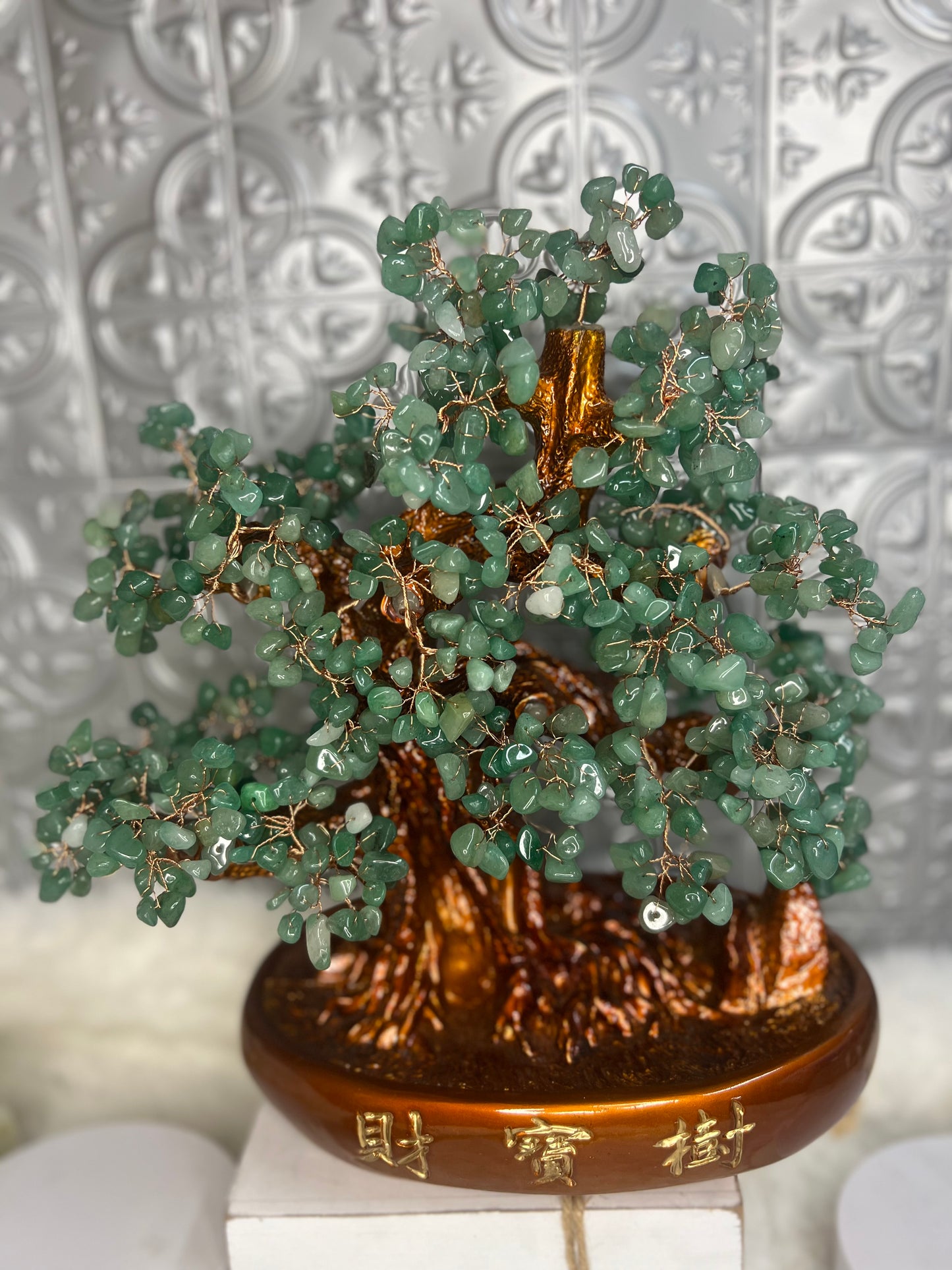 Green Adventuring Bonsai Money Tree Large