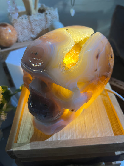 Druzy Agate Skull